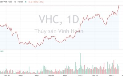 Cổ phiếu VHC: Thông tin, Phân tích, Triển vọng và Chiến lược đầu tư