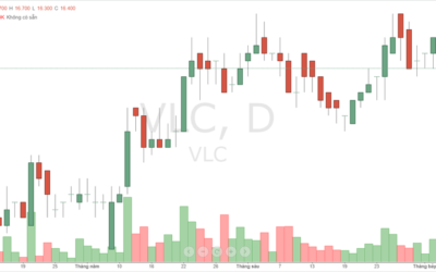 Cổ phiếu VLC: Thông tin, Đặc điểm, Tiềm năng và Phân tích đầu tư