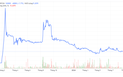 Cổ phiếu VNG (VNZ): Thông tin, Đặc điểm tài chính, Tiềm năng đầu tư và Cách giao dịch