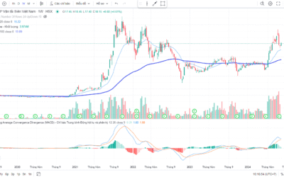 Cổ phiếu VOS: Thông tin doanh nghiệp, Phân tích tài chính, Tiềm năng tăng trưởng và Rủi ro đầu tư