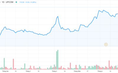 Cổ phiếu VRG: Thông tin, Đặc điểm, Tiềm năng và Chiến lược đầu tư