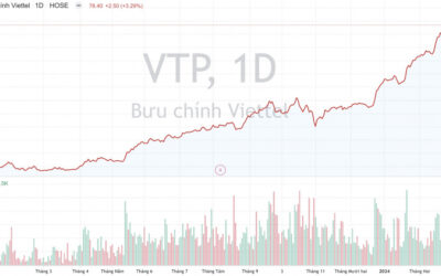 Cổ phiếu VTP: Thông tin doanh nghiệp, Đặc điểm tài chính, Công suất logistics và Chiến lược đầu tư