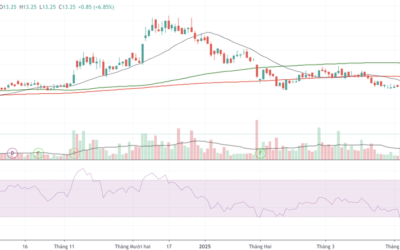 Cổ phiếu ANV: Thông tin, Đặc điểm, Đánh giá và Chiến lược đầu tư