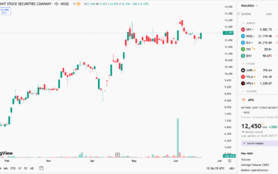 Cổ phiếu APG: Thông tin doanh nghiệp, Chỉ số tài chính, Tiềm năng đầu tư và Phân tích rủi ro