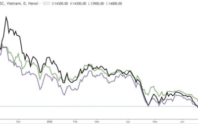 Cổ phiếu APS: Thông tin, Đặc điểm, Tiềm năng và Cách đầu tư