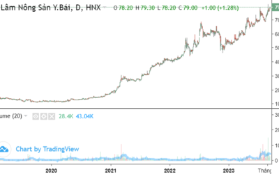 Cổ phiếu CAP: Thông tin, Đặc điểm, Đánh giá tài chính và Chiến lược đầu tư hiệu quả