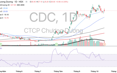 Cổ phiếu CDC: Thông tin niêm yết, Đặc điểm tài chính, Tiềm năng tăng trưởng và Phân tích rủi ro đầu tư