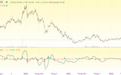 Cổ phiếu CRE: Thông tin, Đặc điểm, Vị thế và Triển vọng đầu tư