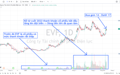 Cổ phiếu EVF: Thông tin, Đặc điểm, Đánh giá và Tiềm năng đầu tư