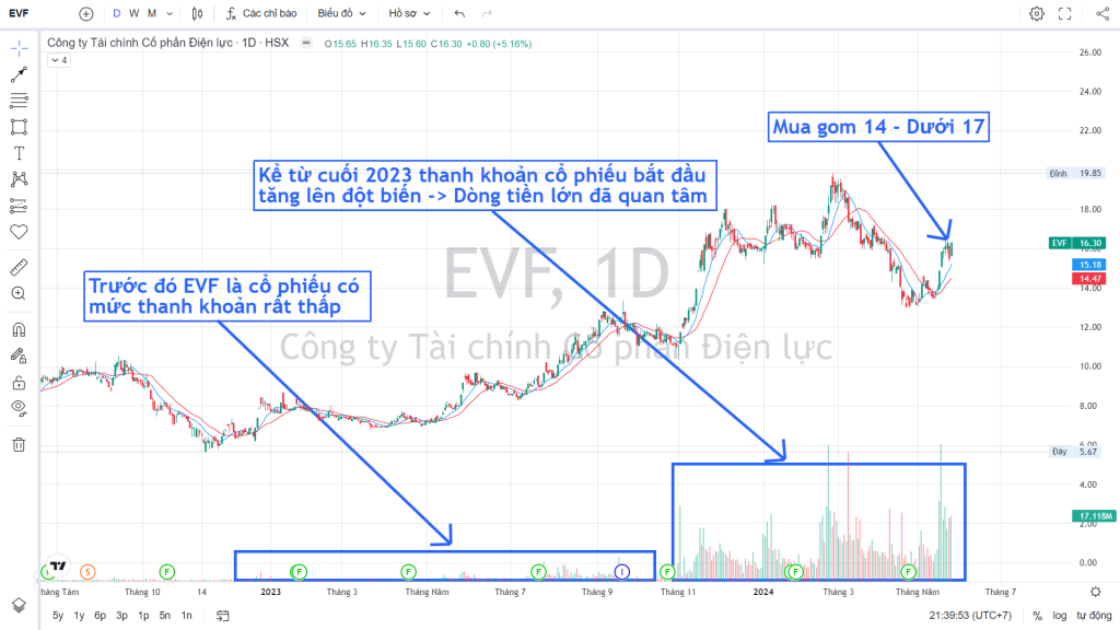 Cổ phiếu EVF: Thông tin, Đặc điểm, Đánh giá và Tiềm năng đầu tư