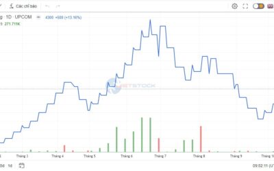 Cổ phiếu GGG: Thông tin, Chỉ số tài chính, Tiềm năng và Rủi ro đầu tư