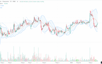 Cổ phiếu NBC: Thông tin, Chỉ số tài chính, Tiềm năng đầu tư và Nhận định thị trường