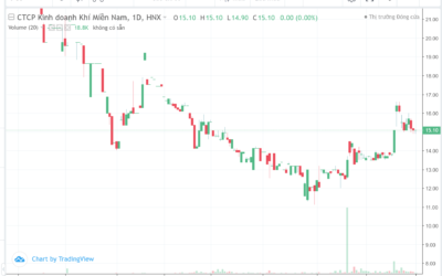 Cổ phiếu PGS: Thông tin, Đặc điểm, Tiềm năng và Chiến lược đầu tư