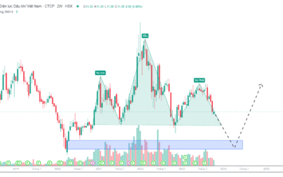 Cổ phiếu POW: Thông tin, Đặc điểm, Đánh giá và Chiến lược đầu tư