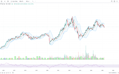Cổ phiếu PTB: Thông tin, Đặc điểm, Tiềm năng và Chiến lược đầu tư