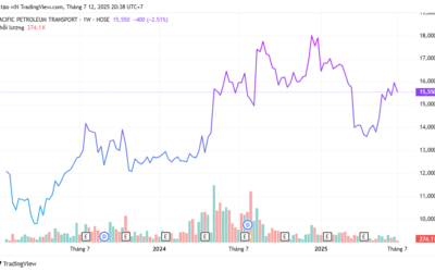 Cổ phiếu PVP: Thông tin, Đặc điểm tài chính, Tiềm năng tăng trưởng và Chiến lược đầu tư