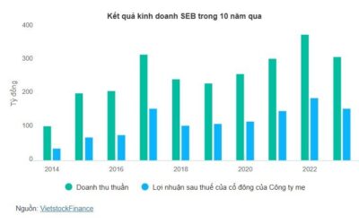 Cổ phiếu SEB: Thông tin doanh nghiệp, Đặc điểm tài chính, Tiềm năng đầu tư và Phân tích rủi ro