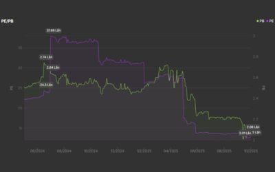 Cổ phiếu SVH: Thông tin doanh nghiệp, Đặc điểm tài chính, Tiềm năng đầu tư và Rủi ro thị trường