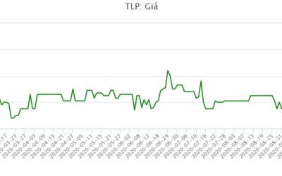 Cổ phiếu TLP: Thông tin doanh nghiệp, Đặc điểm tài chính, Tiềm năng tăng trưởng và Chiến lược đầu tư