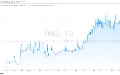 Cổ phiếu TMG: Thông tin, Đặc điểm, Tiềm năng và Hướng dẫn đầu tư