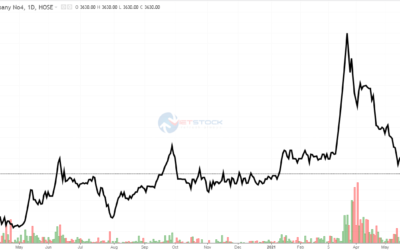 Cổ phiếu TS4: Thông tin, Đặc điểm, Tiềm năng và Cách đầu tư