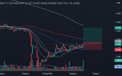Cổ phiếu TSC: Thông tin, Đặc điểm, Công dụng và Cách đầu tư