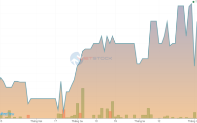Cổ phiếu VAV: Thông tin, Đặc điểm, Tiềm năng và Chiến lược đầu tư