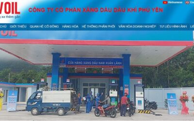 Cổ phiếu PPY: Thông tin, Đặc điểm tài chính, Tiềm năng ngành và Cách đầu tư