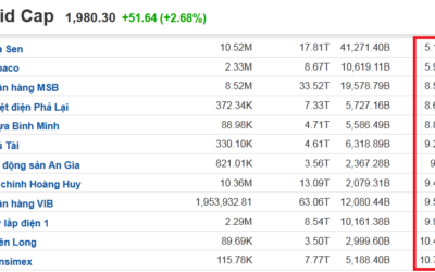 Danh sách cổ phiếu Midcap: Thông tin, Đặc điểm, Ưu điểm và Cách lựa chọn