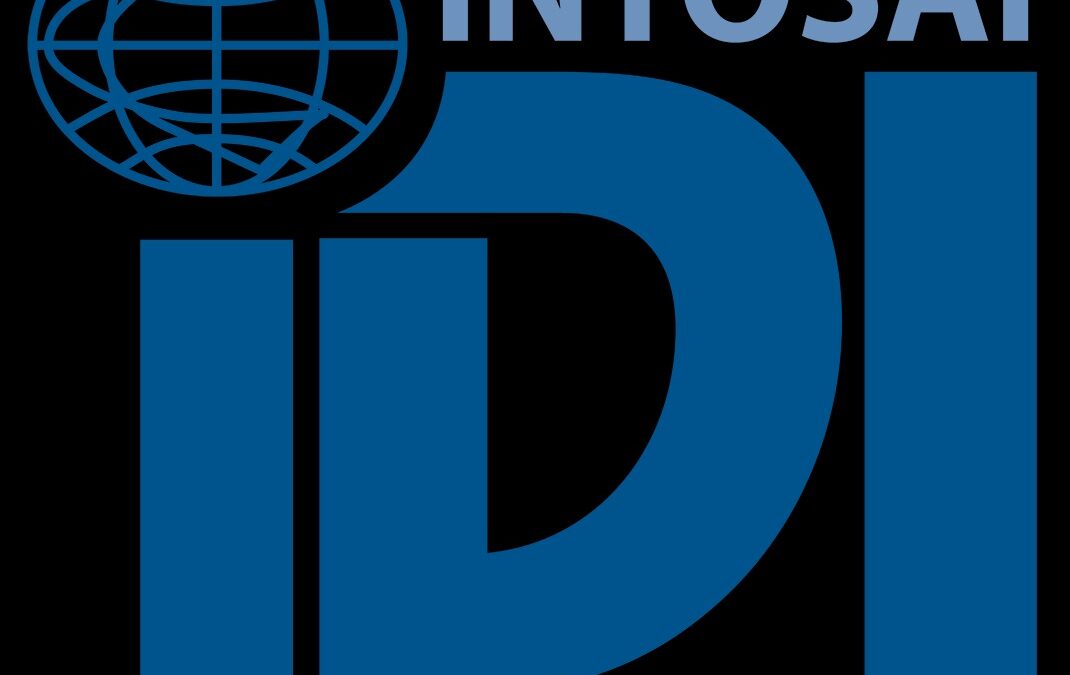 Cổ phiếu IDI: Thông tin, Vị thế ngành, Kết quả kinh doanh và Chiến lược đầu tư