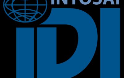 Cổ phiếu IDI: Thông tin, Vị thế ngành, Kết quả kinh doanh và Chiến lược đầu tư