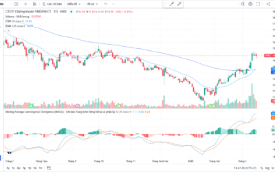 Mã chứng khoán VND: Thông tin, Đặc điểm, Vị thế và Chiến lược đầu tư