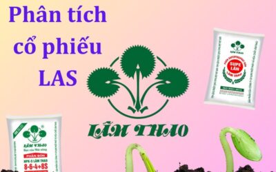 Cổ phiếu LAS: Thông tin doanh nghiệp, Chỉ số tài chính, Tiềm năng tăng trưởng và Chiến lược đầu tư