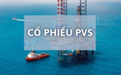 Cổ phiếu PVS: Thông tin, Đặc điểm, Tiềm năng và Cách đầu tư