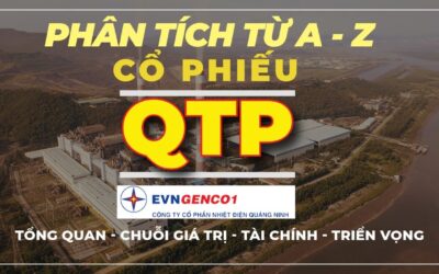 Cổ phiếu QTP: Thông tin, Đặc điểm, Đánh giá và Tiềm năng đầu tư