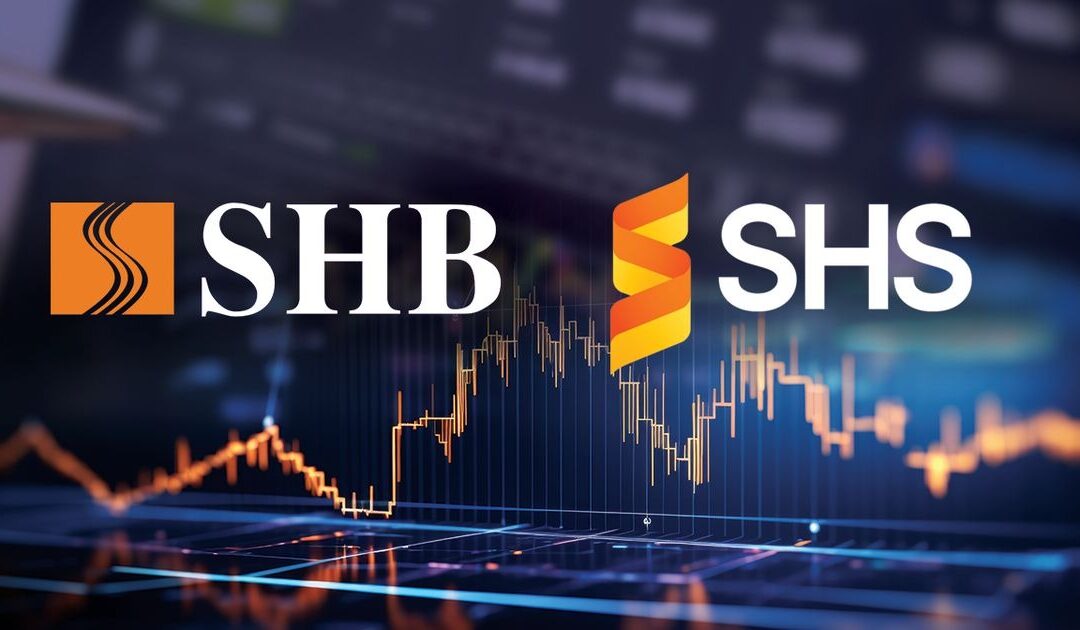 Cổ phiếu SHS: Thông tin doanh nghiệp, Chỉ số tài chính, Danh mục tự doanh và Chiến lược đầu tư