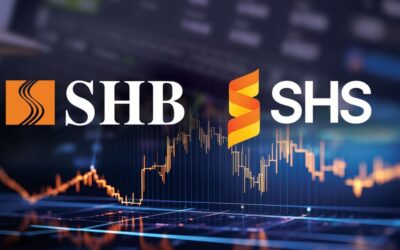 Cổ phiếu SHS: Thông tin doanh nghiệp, Chỉ số tài chính, Danh mục tự doanh và Chiến lược đầu tư