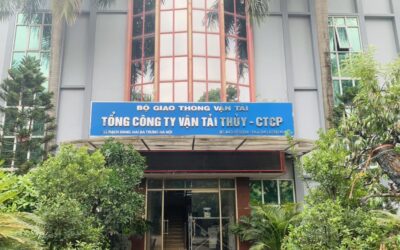 Cổ phiếu VVN: Thông tin, Đặc điểm, Định giá và Chiến lược đầu tư