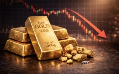 Bắt đáy vàng: Thông tin, Đặc điểm, Rủi ro và Chiến lược thực hiện