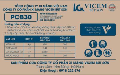 Cổ phiếu BTS: Thông tin niêm yết, Hiệu quả tài chính, Tiềm năng đầu tư và Rủi ro