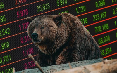 Bear trong chứng khoán là gì: Thông tin, Đặc điểm, Tác động và Cách đầu tư