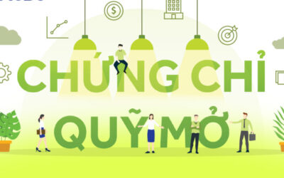 Chứng Khoán Casin - An Toàn Vốn & Gia Tăng Bền Vững 3 CCQ trong chứng khoán: Thông tin, Phân loại, Lợi ích và Cách đầu tư