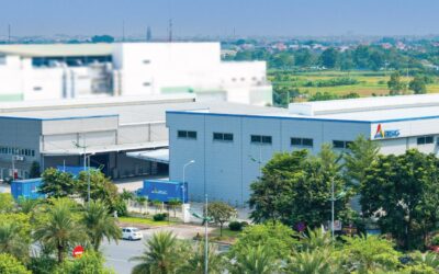 Cổ phiếu BSP: Thông tin, Đặc điểm, Tiềm năng và Chiến lược đầu tư