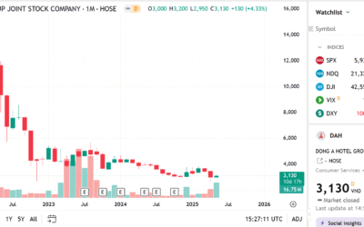 Cổ phiếu DAH: Thông tin doanh nghiệp, Đặc điểm cổ phiếu, Tiềm năng đầu tư và Chiến lược giao dịch