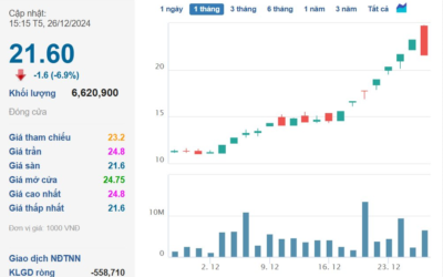 Cổ phiếu HPI: Thông tin, Đặc điểm, Tiềm năng và Chiến lược đầu tư