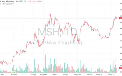Cổ phiếu MSH: Thông tin, Chỉ số tài chính, Tiềm năng và Chiến lược đầu tư