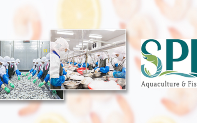 Cổ phiếu SPD: Thông tin, Đặc điểm, Phân tích kỹ thuật và Chiến lược đầu tư