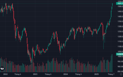 Chart cổ phiếu: Thông tin, Phân loại, Chỉ báo và Cách phân tích kỹ thuật hiệu quả