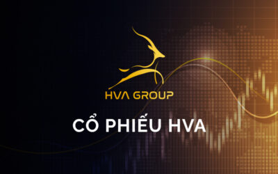 Cổ phiếu HVA: Thông tin, Hoạt động kinh doanh, Sức khỏe tài chính và Tiềm năng đầu tư