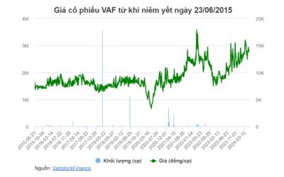Cổ phiếu VAF: Thông tin doanh nghiệp, Hiệu quả kinh doanh, Chỉ số tài chính và Tiềm năng đầu tư